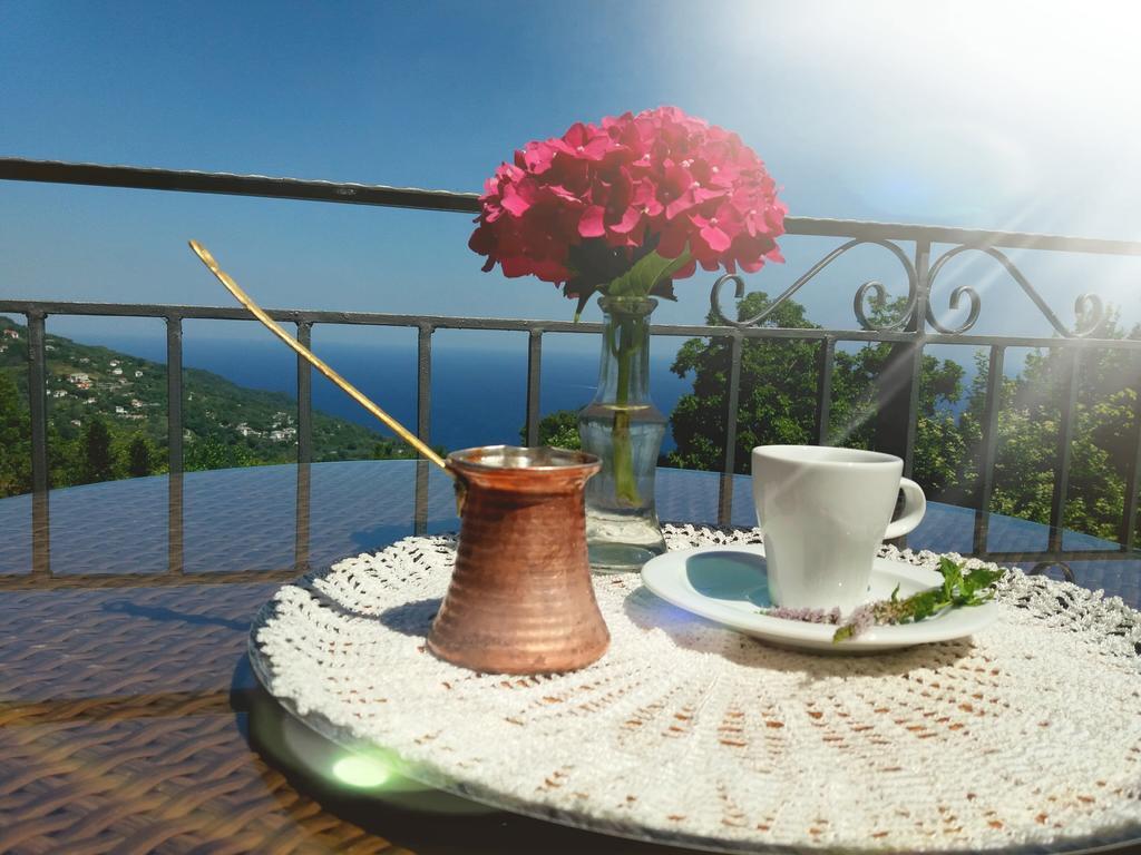 Aroma Piliou - Άρωμα Πηλίου Hotel Mouresi Luaran gambar
